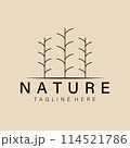 Abstract elegant nature line logo icon vector design. Graceful lined vector sign 114521786