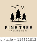 Abstract elegant nature pine tree line logo icon vector design. Graceful lined vector sign 114521812