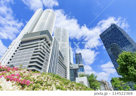 JRセントラルタワーズと満開のツツジの花 114522369