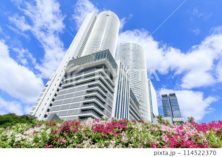 JRセントラルタワーズと満開のツツジの花 114522370