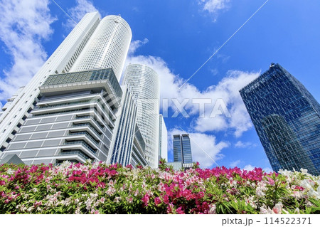 JRセントラルタワーズと満開のツツジの花 114522371