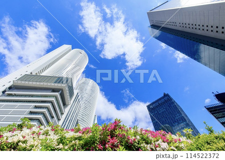 JRセントラルタワーズと満開のツツジの花 JRセントラルタワーズと満開のツツジの花 114522372