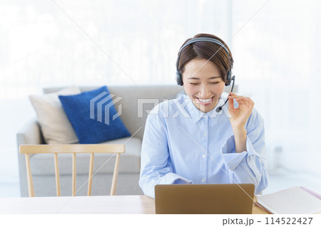 リビングでテレワークする女性 リビングでテレワークする女性 114522427