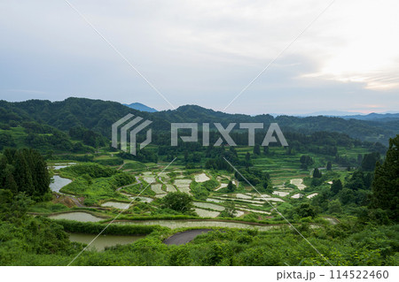 新潟 星峠の棚田 114522460