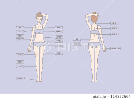 女性の脱毛のイラスト 全身 114522664