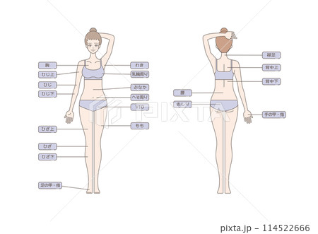 女性の脱毛のイラスト 全身 114522666