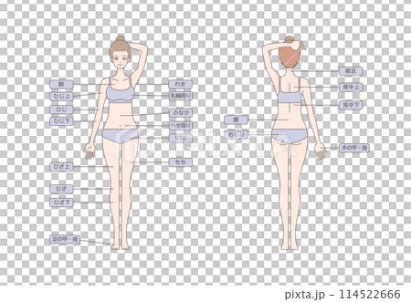 女性の脱毛のイラスト 全身 114522666