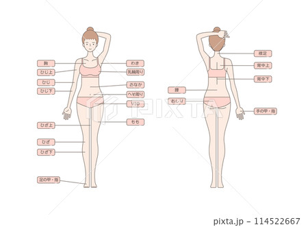女性の脱毛のイラスト 全身 114522667