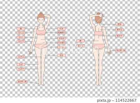 女性の脱毛のイラスト 全身 114522667