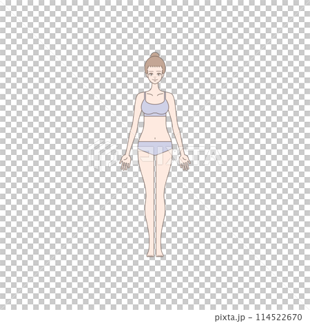 Female illustration fitness beauty whole body Female illustration fitness beauty whole body 114522670