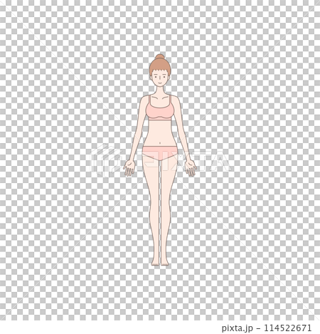 Female illustration fitness beauty whole body Female illustration fitness beauty whole body 114522671