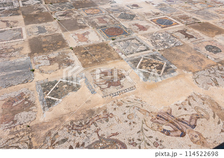 Remains of mosaic floors of ancient Roman villas in Carthage 114522698