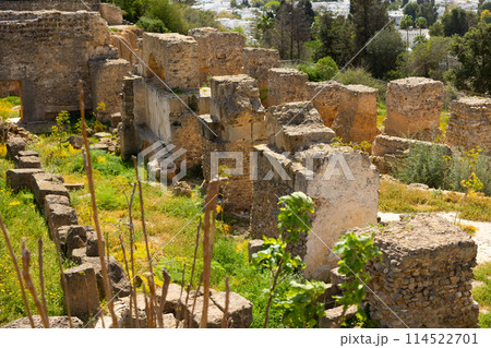 Ruins of house of Hannibal at the excavations of Carthage Ruins of house of Hannibal at the excavations of Carthage 114522701