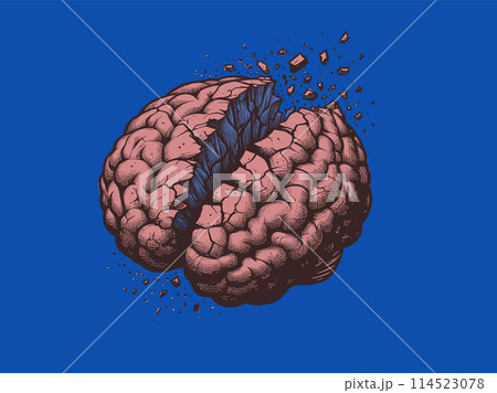 brain cracking and broken illustration on blue BGのイラスト素材 [114523078 ...