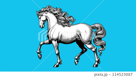 White horse walking drawing on blue BG 114523087