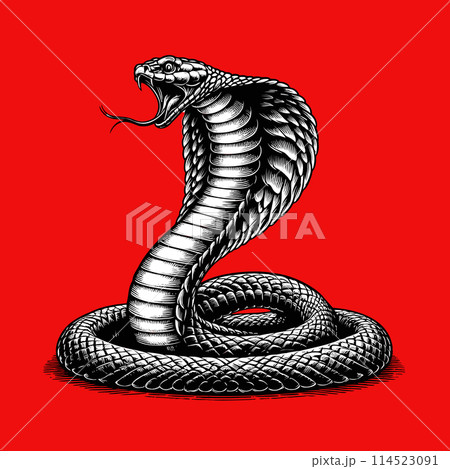 King cobra vector engraving on red BG 114523091