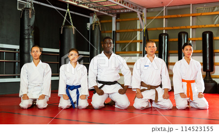 Group of people in kimono sit on a tatami before preparing for sparring Group of people in kimono sit on a tatami before preparing for sparring 114523155