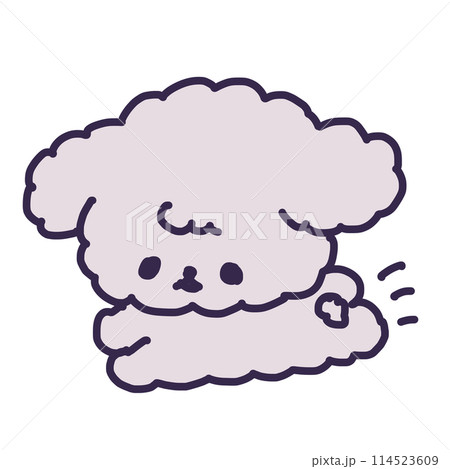 走るかわいいトイプードルの子犬のイラスト 114523609