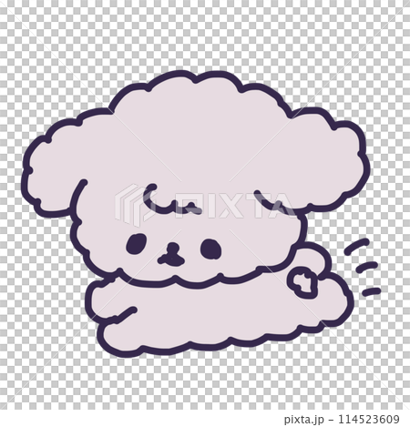 走るかわいいトイプードルの子犬のイラスト 114523609