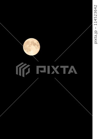 夜空に浮かぶ満月 夜空に浮かぶ満月 114523642