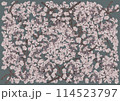 幻想的に美しく咲き誇る満開の桜をbluegray背景に 114523797
