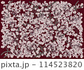 幻想的に美しく咲き誇る満開の桜を赤ベルベット色背景に 114523820