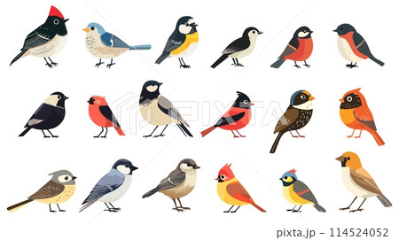 Different cartoon wild birds. Forest bird set isolated on white 114524052