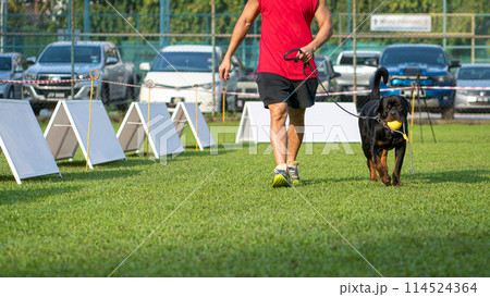 Man running with dog on a field in a dog show event. Man running with dog on a field in a dog show event. 114524364