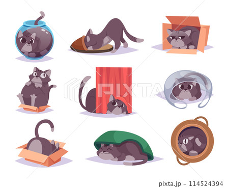 Hiding pets. Domestic kitten hidden in interior space indoor cats in funny poses exact vector illustrations in cartoon style 114524394