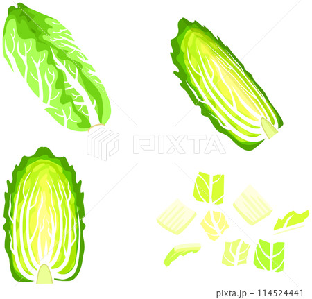白菜のカットイラストセット 114524441