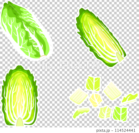 白菜のカットイラストセット 114524441