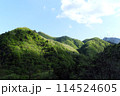 新緑に包まれる山々 114524605