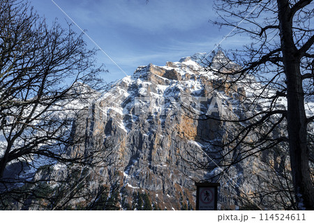 Majestic mountain peak in the Swiss Alps, likely near Murren ski resort. Snow covered, rugged terrain with bare trees in foreground. Sunny day with a clock adding a human touch. 114524611