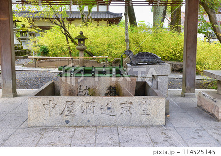 京都　松尾大社　亀の手水舎（京都府京都市西京区） 114525145