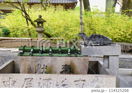 京都　松尾大社　亀の手水舎（京都府京都市西京区） 114525208
