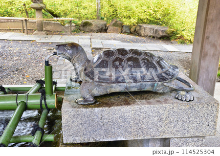 京都　松尾大社　亀の手水舎（京都府京都市西京区） 114525304