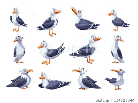 Cartoon Seagull. Dynamic Poses Isolated Vector Set of Seagulls in Various Positions on White Background, Rendered in Simple Flat Style Cartoon Seagull. Dynamic Poses Isolated Vector Set of Seagulls in Various Positions on White Background, Rendered in Simple Flat Style 114525344