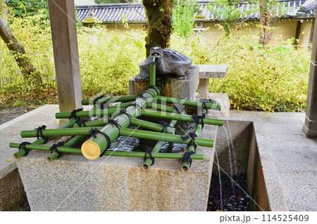 京都　松尾大社　亀の手水舎（京都府京都市西京区） 114525409