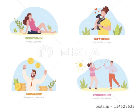 Mood hormones. Happy emotion chemicals hormone, dopamine endorphin serotonin oxytocin relieved pain, brain reward change mental physiology reaction psychology vector illustration 114525633