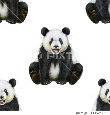 Sitting panda seamless pattern. Watercolor painted illustration. Cute sitting giant panda painted illustration seamless pattern. Ailuropoda melanoleuca China native wildlife animal. White background 114525642