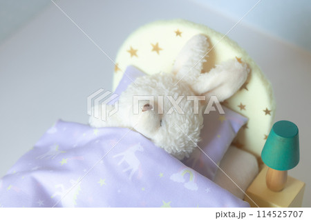 就寝・あなたの睡眠の質は? 就寝・あなたの睡眠の質は? 114525707