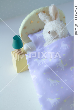 就寝・あなたの睡眠の質は？ 114525712