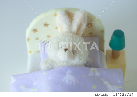 就寝・あなたの睡眠の質は? 就寝・あなたの睡眠の質は? 114525714