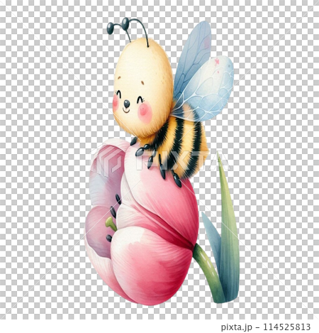 Bee on tulips flower 114525813