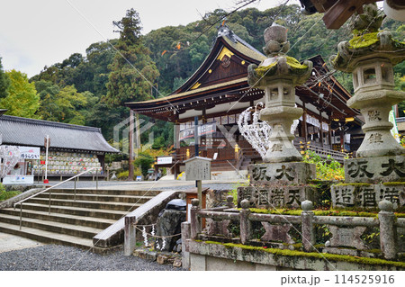 京都 松尾大社の境内 拝殿と酒樽(京都府京都市西京区) 京都 松尾大社の境内 拝殿と酒樽(京都府京都市西京区) 114525916