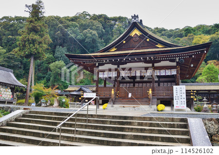 京都　松尾大社の境内　拝殿と酒樽（京都府京都市西京区） 114526102