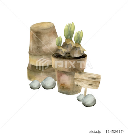Flower brown pot with spring bulbs, wooden realistic sign for garden and stones watercolor illustration. Gardening rural composition, farm style for label, logo, packing design. Floral natural colours 114526174