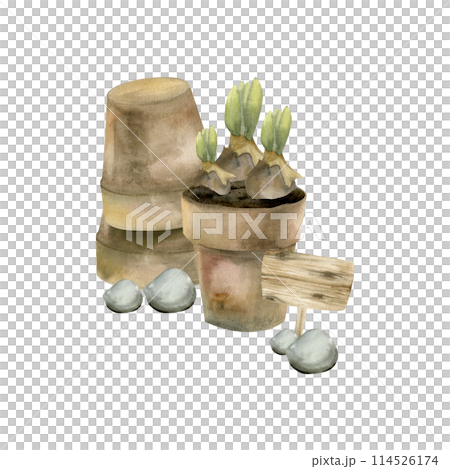 Flower brown pot with spring bulbs, wooden realistic sign for garden and stones watercolor illustration. Gardening rural composition, farm style for label, logo, packing design. Floral natural colours 114526174