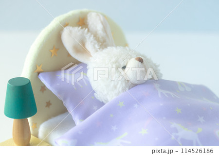 就寝・あなたの睡眠の質は？ 114526186