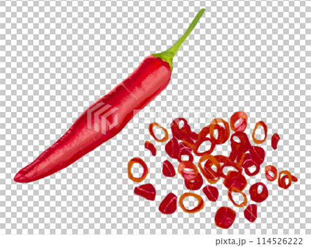 とうがらし（1本と輪切り） 114526222